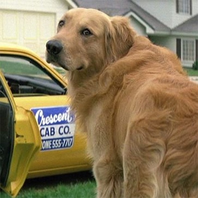 famous dog E. Buzz